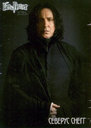 hpfilmspsmpersoseverusrogue003.jpg