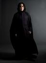 hpfilmspsmpersoseverusrogue004.jpg