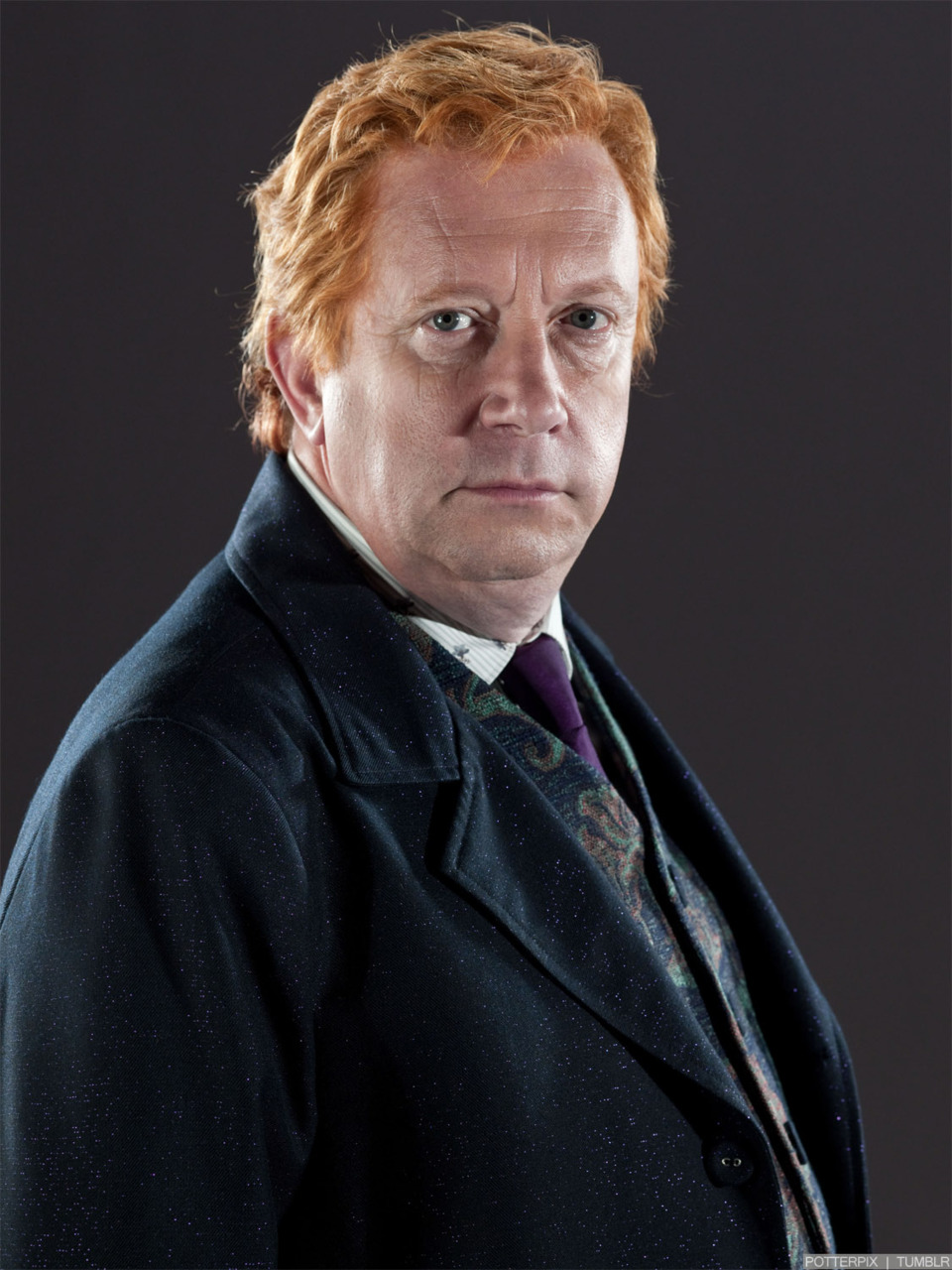 hpfilmsrdmpersoarthurweasley001.jpg