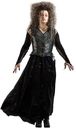hpfilmsrdmpersobellatrixlestrange005.jpg