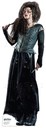 hpfilmsrdmpersobellatrixlestrange006.jpg