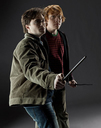 hpfilmsrdmpersoharryron002.jpg