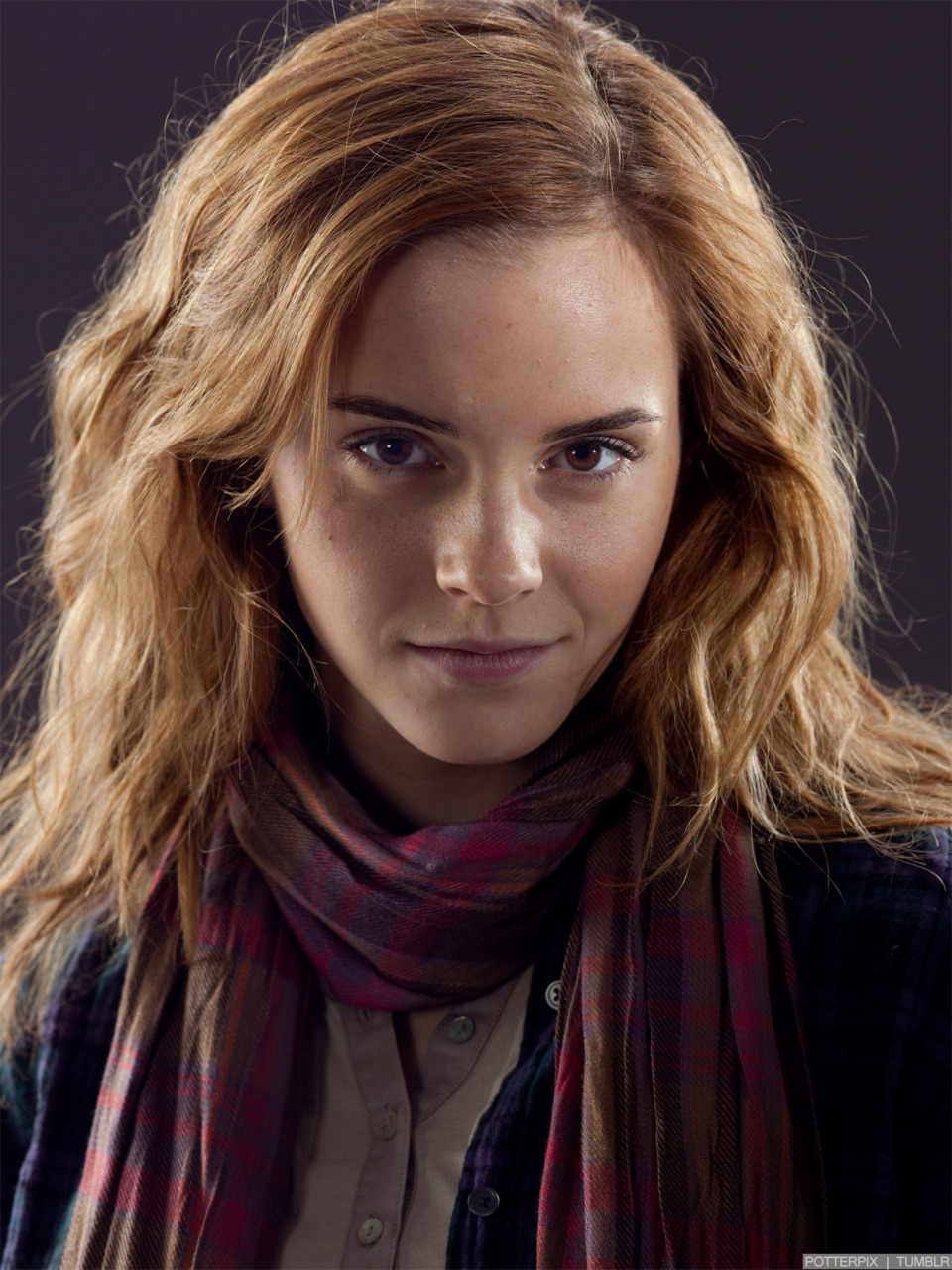 hpfilmsrdmpersohermionegranger007.jpg