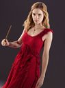 hpfilmsrdmpersohermionegranger005.jpg