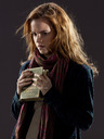 hpfilmsrdmpersohermionegranger009.jpg