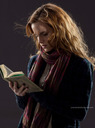 hpfilmsrdmpersohermionegranger010.jpg