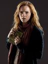 hpfilmsrdmpersohermionegranger011.jpg