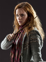 hpfilmsrdmpersohermionegranger013.jpg