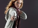 hpfilmsrdmpersohermionegranger014.jpg