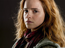 hpfilmsrdmpersohermionegranger015.jpg