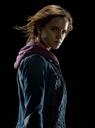 hpfilmsrdmpersohermionegranger018.jpg