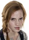 hpfilmsrdmpersohermionegranger027.jpg