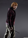 hpfilmsrdmpersoronweasley009.jpg