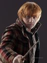 hpfilmsrdmpersoronweasley011.jpg