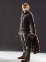 hpfilmsrdmpersoronweasley014.jpg