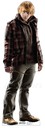 hpfilmsrdmpersoronweasley019.jpg