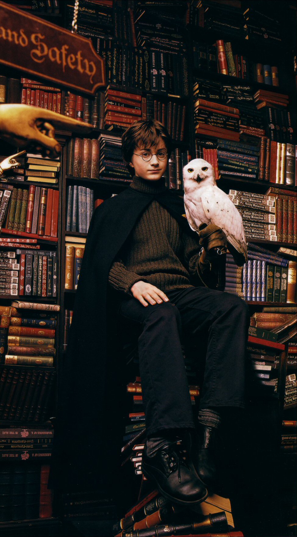 hpfilmscdspersoharrypotter029.jpg