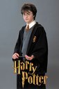 hpfilmscdspersoharrypotter004.jpg