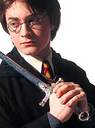 hpfilmscdspersoharrypotter011.jpg