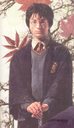 hpfilmscdspersoharrypotter022.jpg