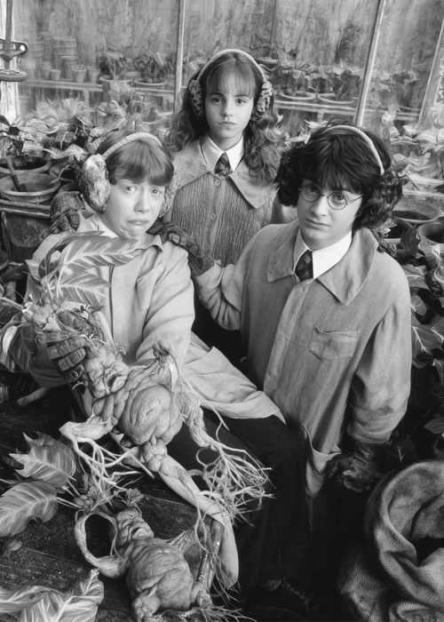 hpfilmscdspersotrio010bis2.jpg