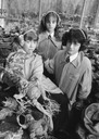 hpfilmscdspersotrio010bis2.jpg