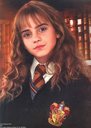 hpfilmscdspersohermionegranger022.jpg