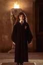 hpfilmscdspersohermionegranger023.jpg