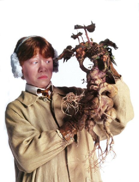 hpfilmscdspersoronweasley005.jpg