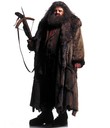 hpfilmscdspersorubeushagrid001.jpg