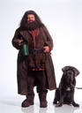 hpfilmscdspersorubeushagrid003.jpg