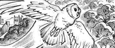 hpfilmsedsdessinsconceptuelsadambrockbank016.jpg