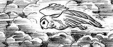 hpfilmsedsdessinsconceptuelsadambrockbank019.jpg