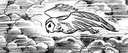 hpfilmsedsdessinsconceptuelsadambrockbank019.jpg