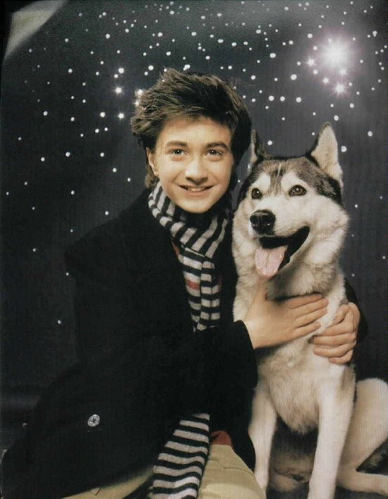 danielradcliffe2001photoshoottheface006.jpg