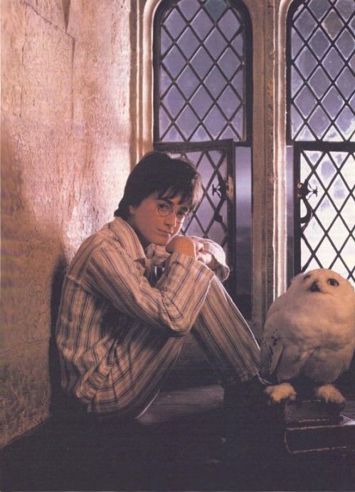 hpfilmsedspersoharrypotter036.jpg
