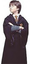 hpfilmsedspersoharrypotter010.jpg