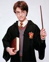 hpfilmsedspersoharrypotter016.jpg