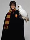 hpfilmsedspersoharrypotter019.jpg