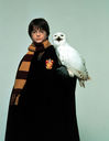 hpfilmsedspersoharrypotter020.jpg