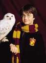 hpfilmsedspersoharrypotter024.jpg