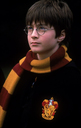 hpfilmsedspersoharrypotter025.jpg