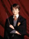hpfilmsedspersoharrypotter029.jpg