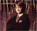 hpfilmsedspersoharrypotter031.jpg
