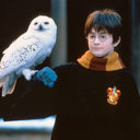 hpfilmsedspersoharrypotter035.jpg