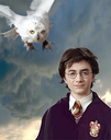 hpfilmsedspersoharrypotter038.jpg