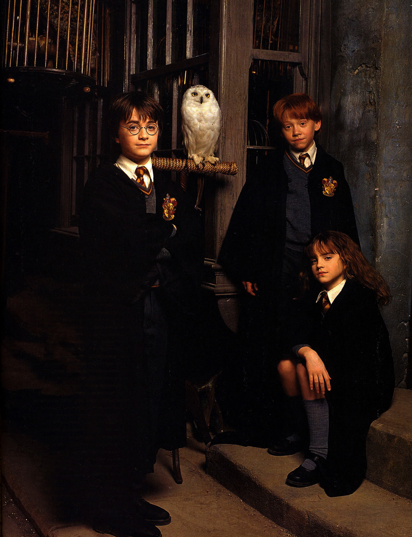 hpfilmsedspersotrio005.jpg