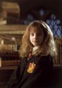hpfilmsedspersohermionegranger020.jpg