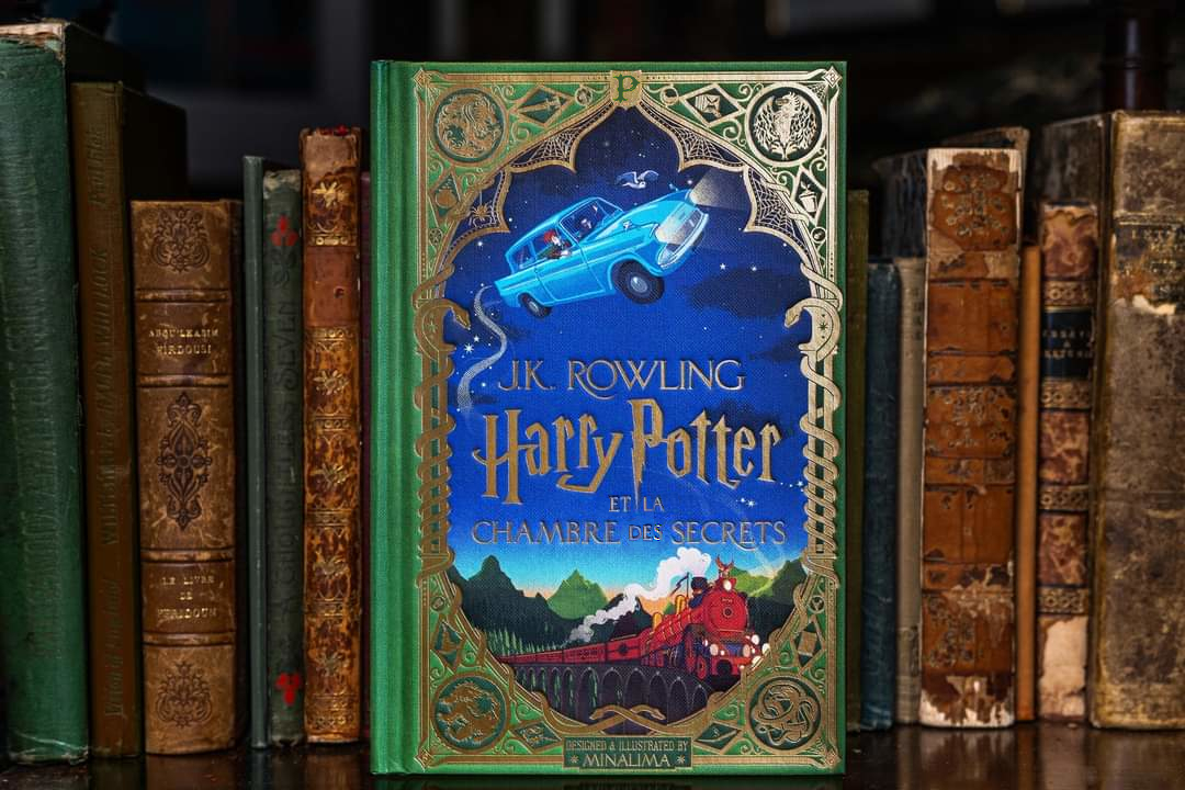 Livres illustrés Harry Potter - La bataille de Poudlard, Hors Série Harry  Potter