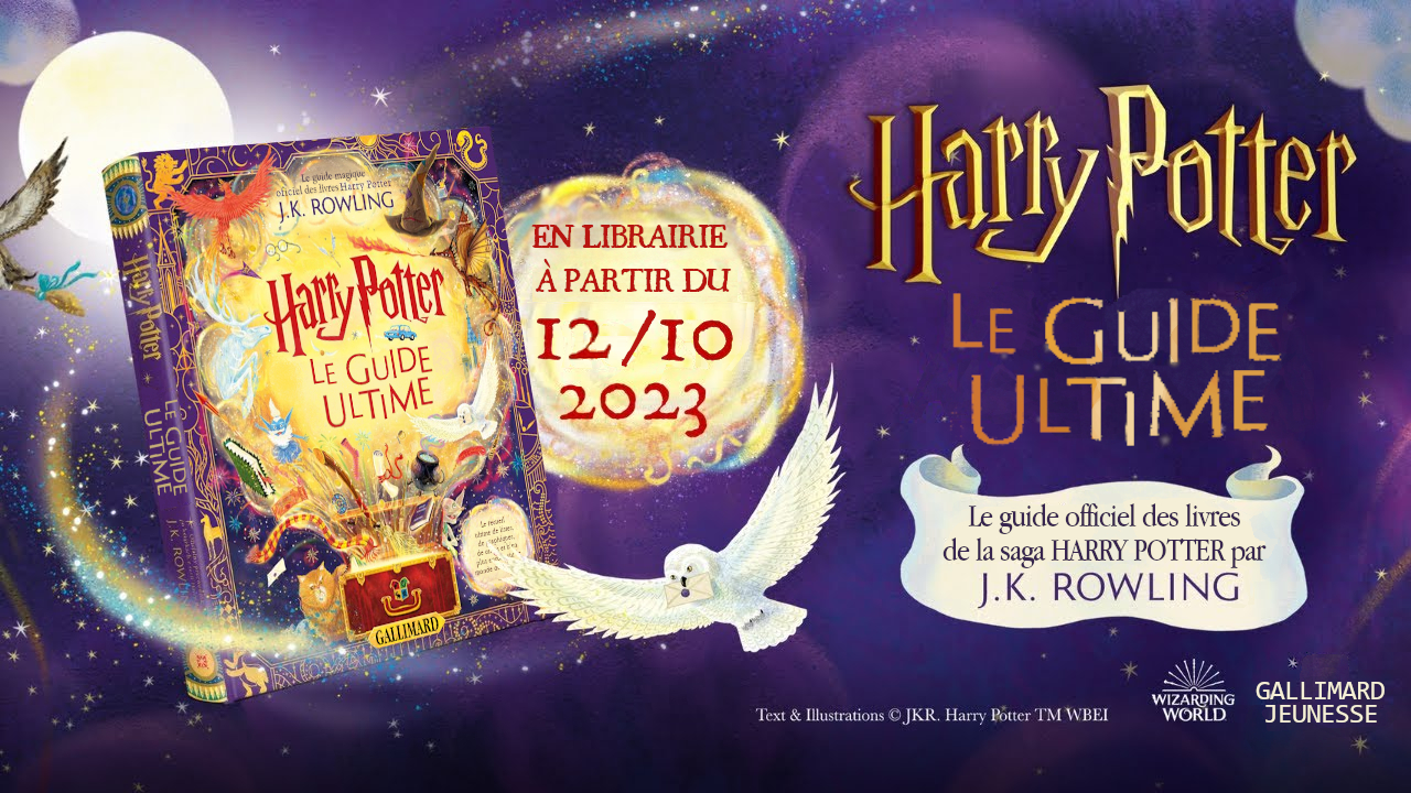 Nouveau coffret collector Folio Junior pour les 25 ans de Harry Potter !